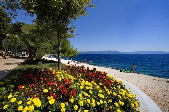 Domek Istrie - Sveta Nedelja IS 7037 N1