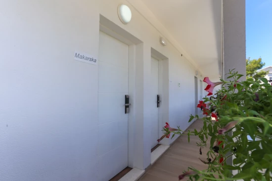 Apartmán Střední Dalmácie - Arbanija (Čiovo) DA 7362 N3