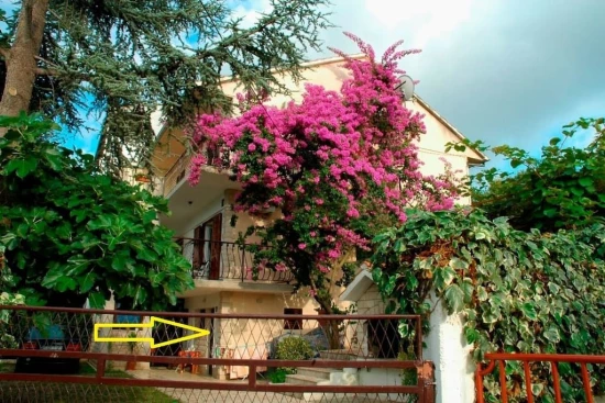 Apartmán Střední Dalmácie - Slatine (Čiovo) DA 7364 N1