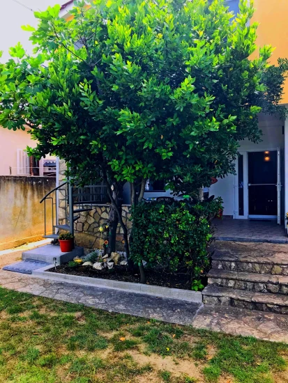 Apartmán Severní Dalmácie - Vrsi (Nin) DA 7369 N1