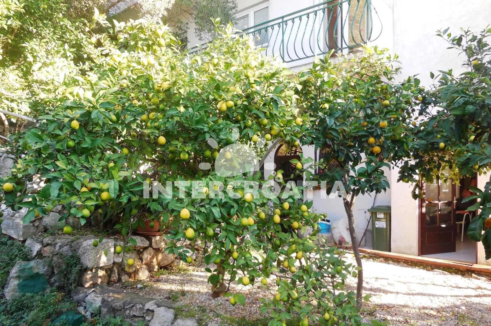 Apartmán Střední Dalmácie - Drašnice (Makarska) DA 7373 N1