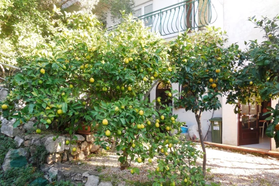 Apartmán Střední Dalmácie - Drašnice (Makarska) DA 7373 N2