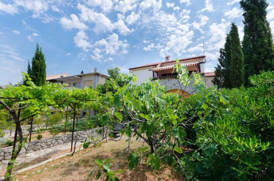 Apartmán Ostrov Krk - Punat OS 9484 N1