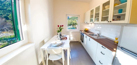 Apartmán Jižní Dalmácie - Klek DA 7379 N8