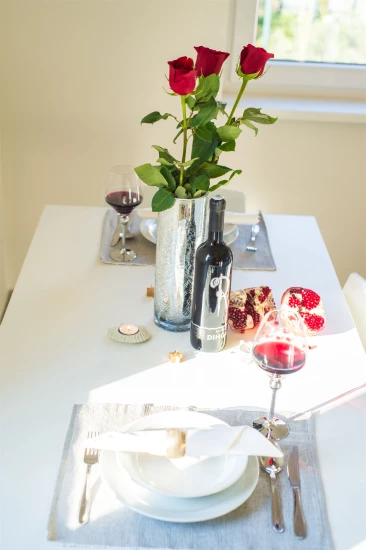 Apartmán Jižní Dalmácie - Klek DA 7379 N8