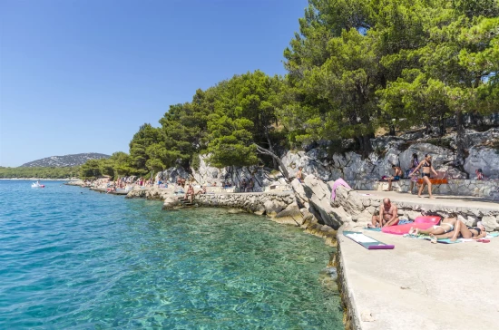 Apartmán Severní Dalmácie - Tribunj (Vodice) DA 7381 N1