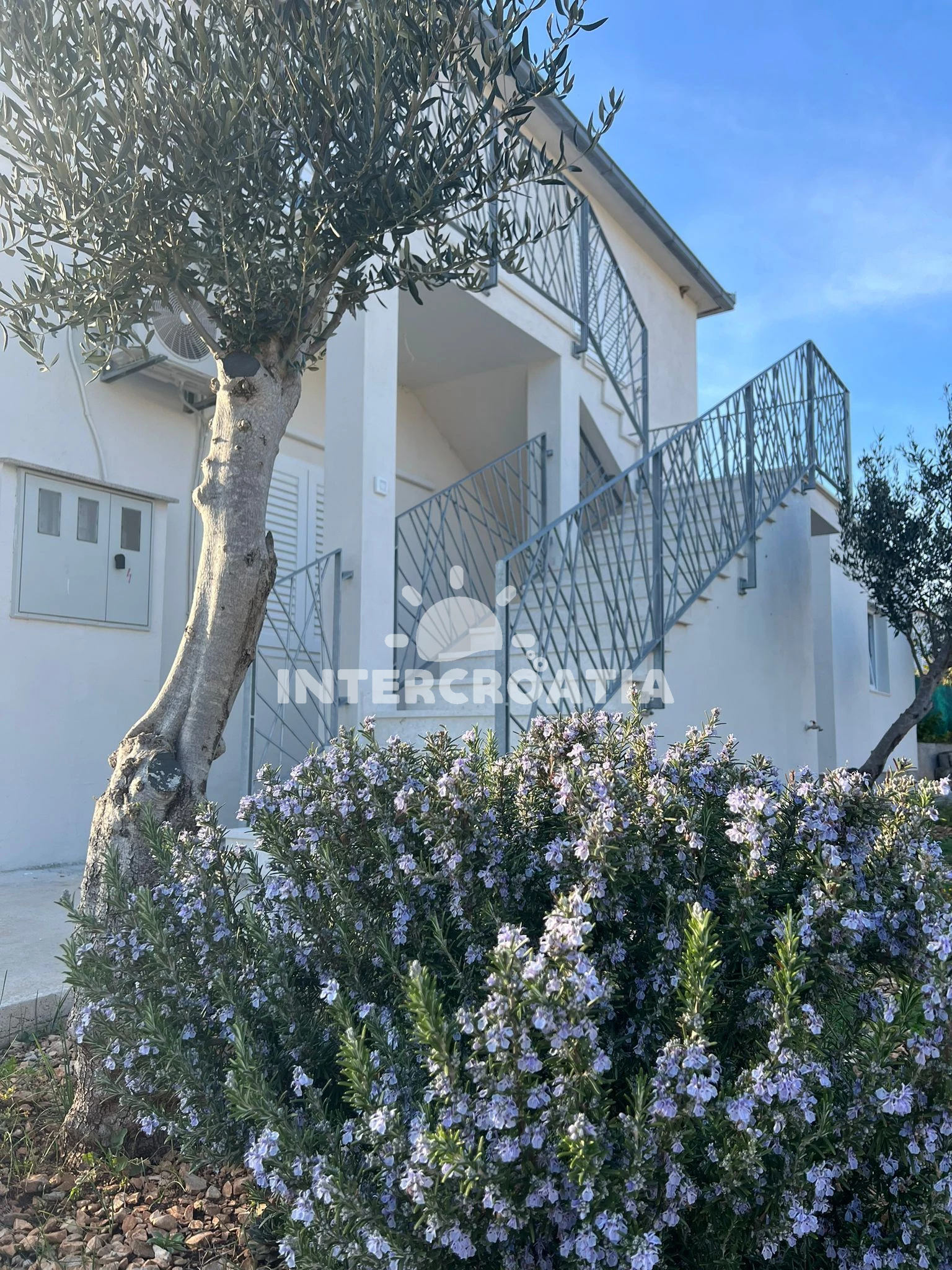 Apartmán Střední Dalmácie - Vinišće DA 7382 N1