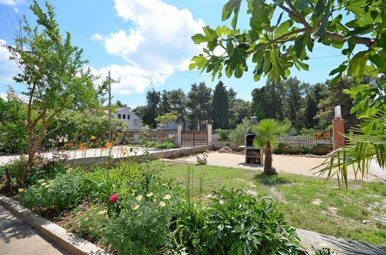 Apartmán Severní Dalmácie - Vodice DA 7384 N1