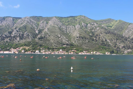 Apartmán Černá Hora - Dobrota CH 7018 N1