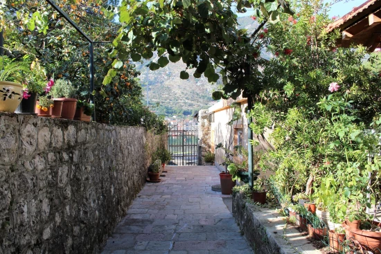 Apartmán Černá Hora - Dobrota CH 7018 N2