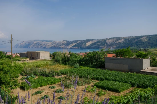 Apartmán Ostrov Rab - Lopar OS 9490 N1