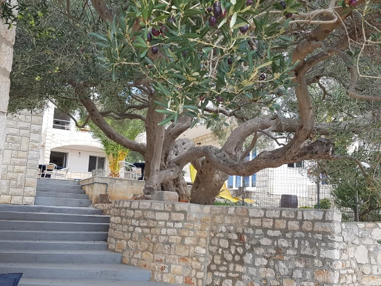 Apartmán Ostrov Hvar - Gdinj OS 9491 N2