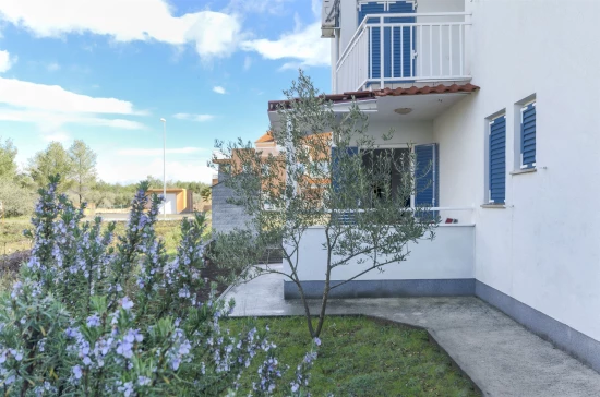 Apartmán Severní Dalmácie - Srima (Vodice) DA 7400 N1