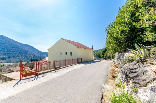 Domek Jižní Dalmácie - Orašac DA 7408 N1