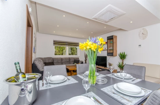 Domek Jižní Dalmácie - Orašac DA 7408 N1