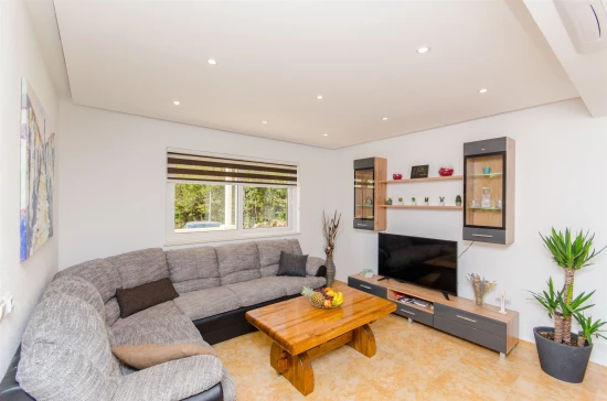 Domek Jižní Dalmácie - Orašac DA 7408 N1