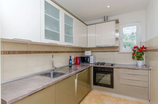 Domek Jižní Dalmácie - Orašac DA 7408 N1