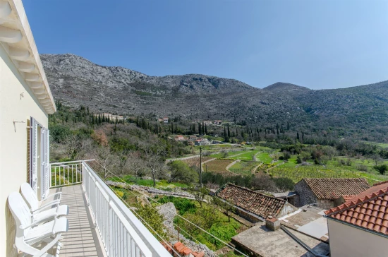 Domek Jižní Dalmácie - Orašac DA 7408 N1