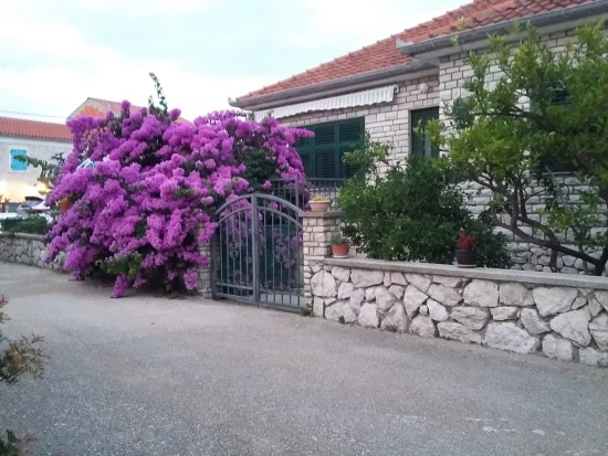 Domek Ostrov Pašman - Pašman OS 9503 N1