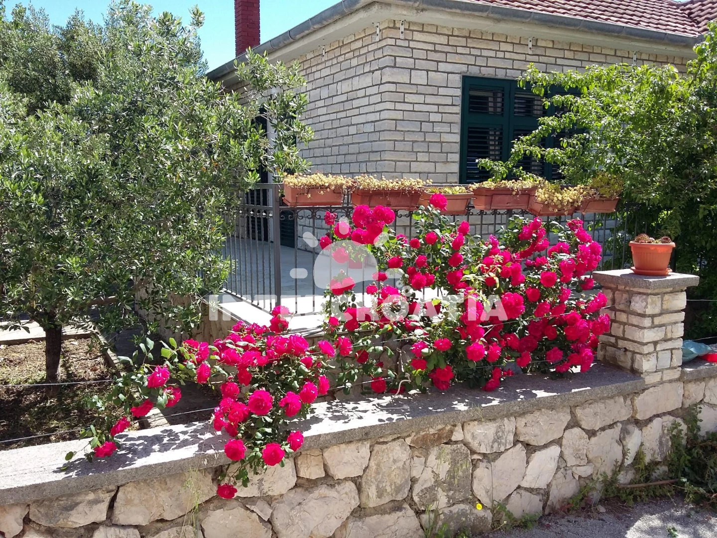 Domek Ostrov Pašman - Pašman OS 9503 N1