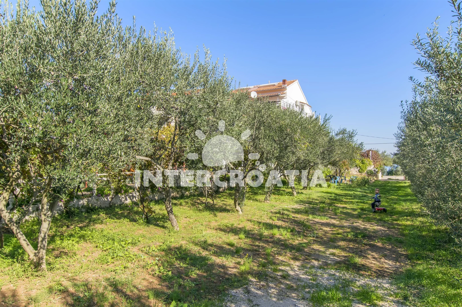 Apartmán Ostrov Pašman - Tkon OS 9512 N1