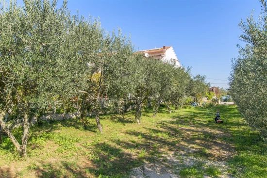 Apartmán Ostrov Pašman - Tkon OS 9512 N2