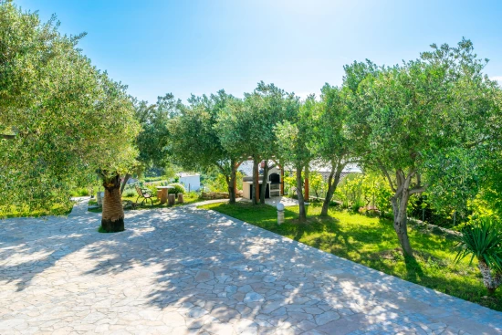 Apartmán Ostrov Rab - Kampor OS 9513 N2