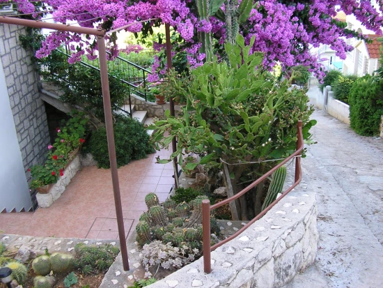 Apartmán Střední Dalmácie - Okrug Gornji DA 7422 N2