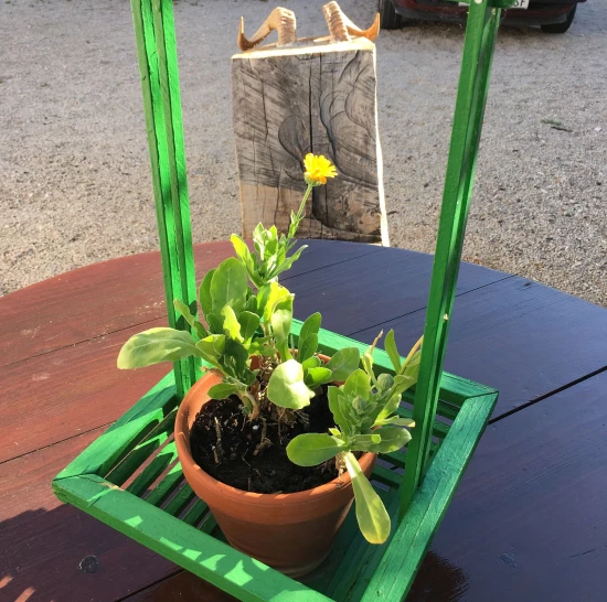 Apartmán Ostrov Krk - Baška OS 9514 N2