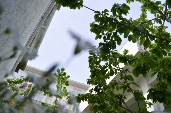 Apartmán Střední Dalmácie - Gizdavac (Split) DA 7428 N1