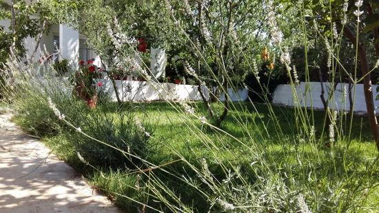 Apartmán Střední Dalmácie - Gizdavac (Split) DA 7428 N1