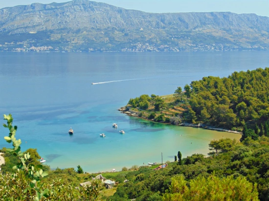 Domek Ostrov Brač - Postira OS 9533 N1