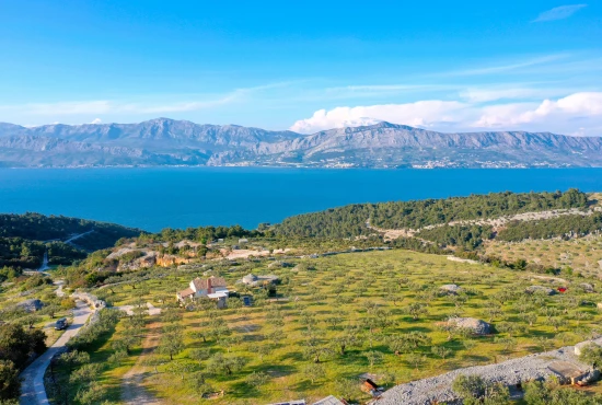 Domek Ostrov Brač - Postira OS 9533 N1