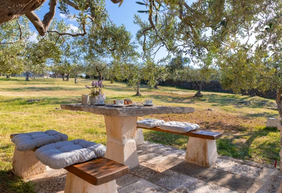 Domek Ostrov Brač - Postira OS 9533 N1