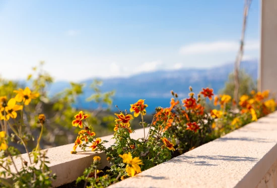 Domek Ostrov Brač - Postira OS 9533 N1