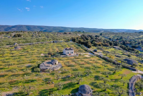 Domek Ostrov Brač - Postira OS 9533 N1