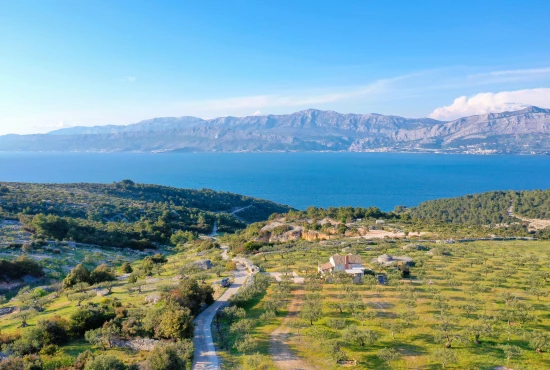 Domek Ostrov Brač - Postira OS 9533 N1