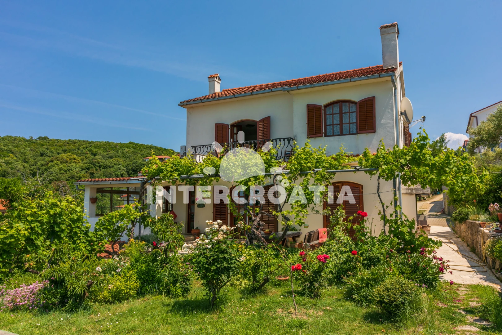 Apartmán Ostrov Rab - Kampor OS 9536 N1