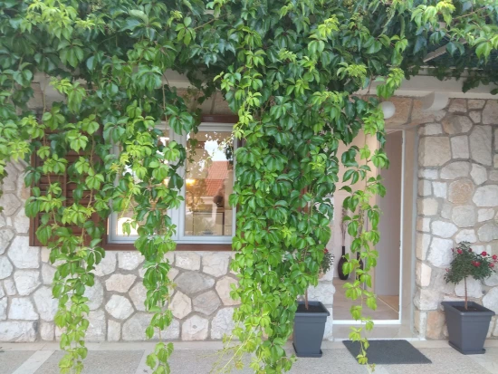 Apartmán Ostrov Brač - Bol OS 9537 N2