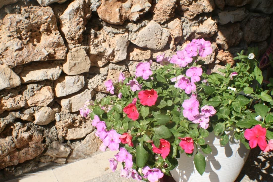 Apartmán Ostrov Brač - Bol OS 9538 N1