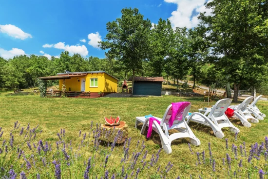 Domek Istrie - Forčići IS 7044 N1