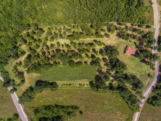 Domek Istrie - Forčići IS 7044 N1