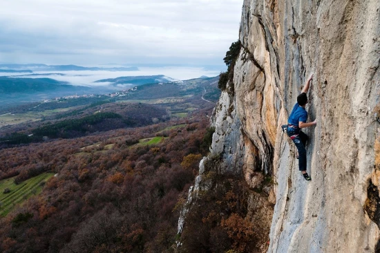 Domek Istrie - Forčići IS 7044 N1