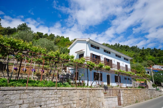 Apartmán Kvarner - Medveja (Lovran) KV 7086 N1