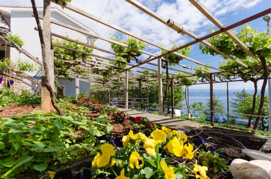 Apartmán Kvarner - Medveja (Lovran) KV 7086 N1