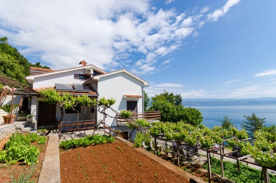 Apartmán Kvarner - Medveja (Lovran) KV 7086 N2