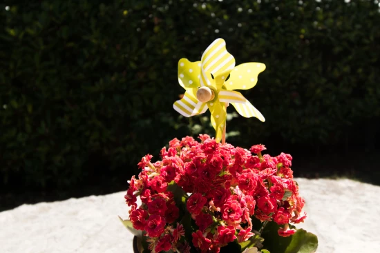 Apartmán Ostrov Cres - Porozina OS 9550 N1