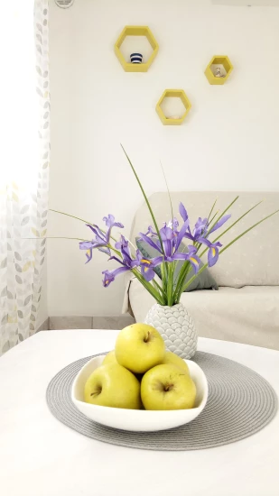 Apartmán Ostrov Korčula - Vela Luka OS 9552 N1