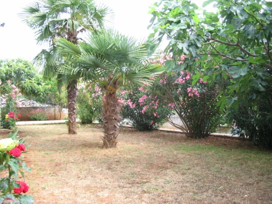 Apartmán Severní Dalmácie - Vodice DA 7439 N2