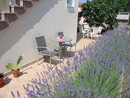 Apartmán Severní Dalmácie - Vodice DA 7439 N2